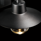 Suspense Outdoor Sconce
