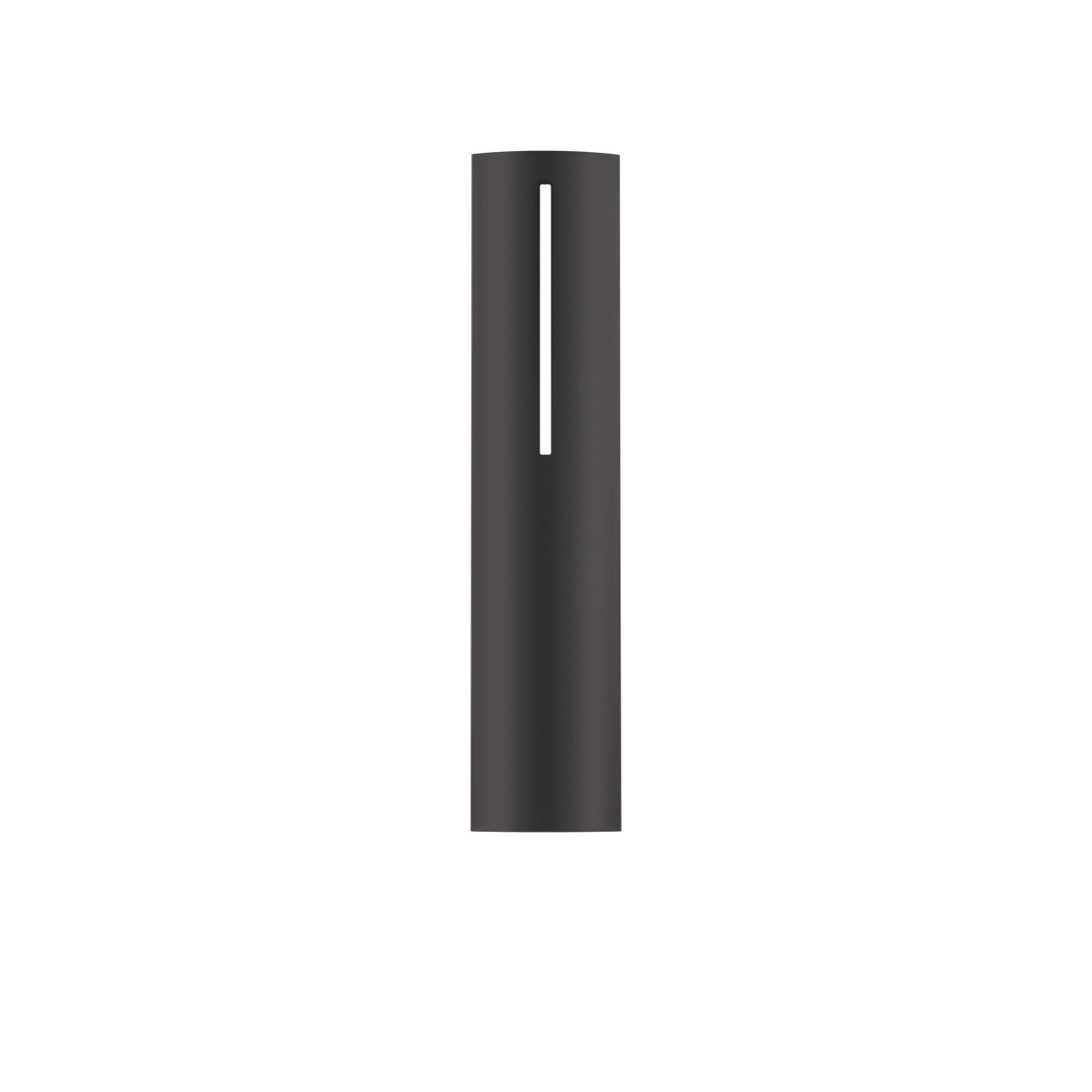 Aegis Outdoor Sconce - Black