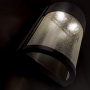 Rain Indoor/Outdoor Sconce