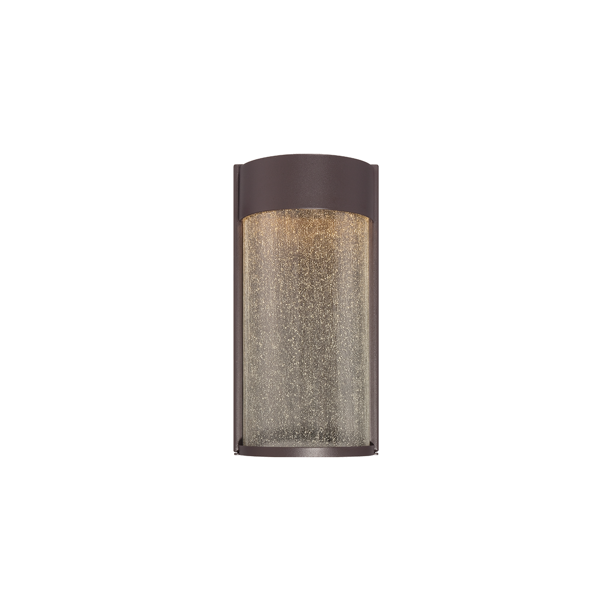 Rain Indoor/Outdoor Sconce