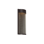 Rain Indoor/Outdoor Sconce