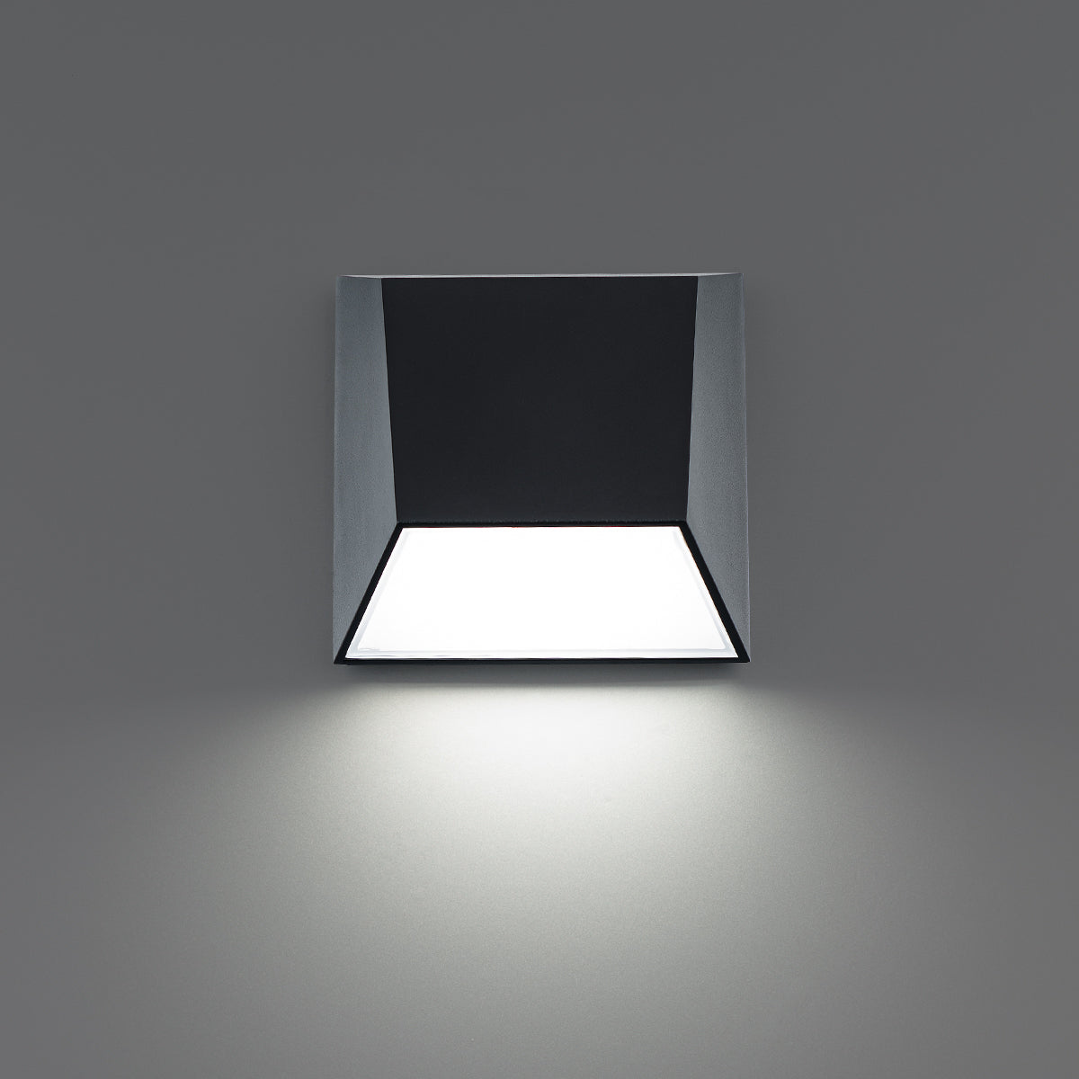 Atlantis Outdoor Wall Sconce - Black