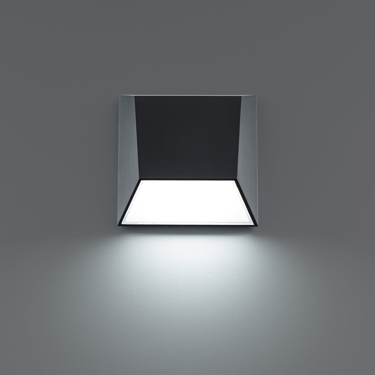 Atlantis Outdoor Wall Sconce - Black