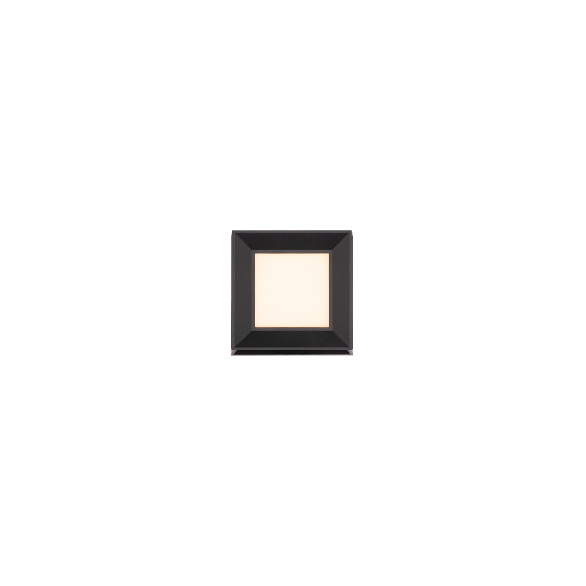 Argo Outdoor Wall Sconce 5in