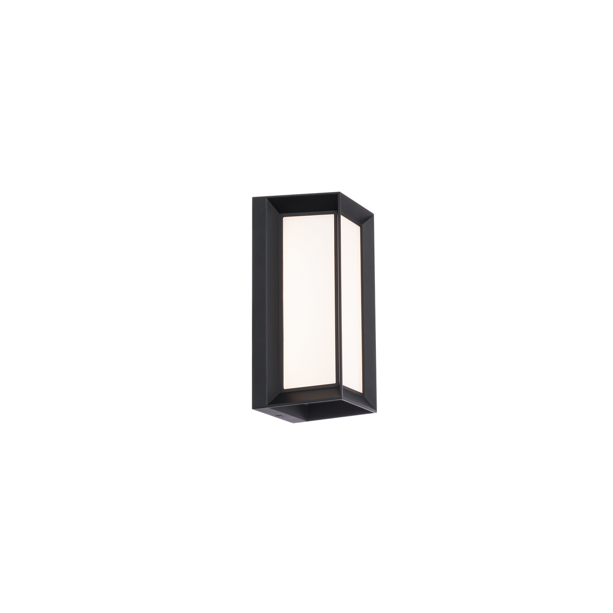 Argo Outdoor Wall Sconce 10in