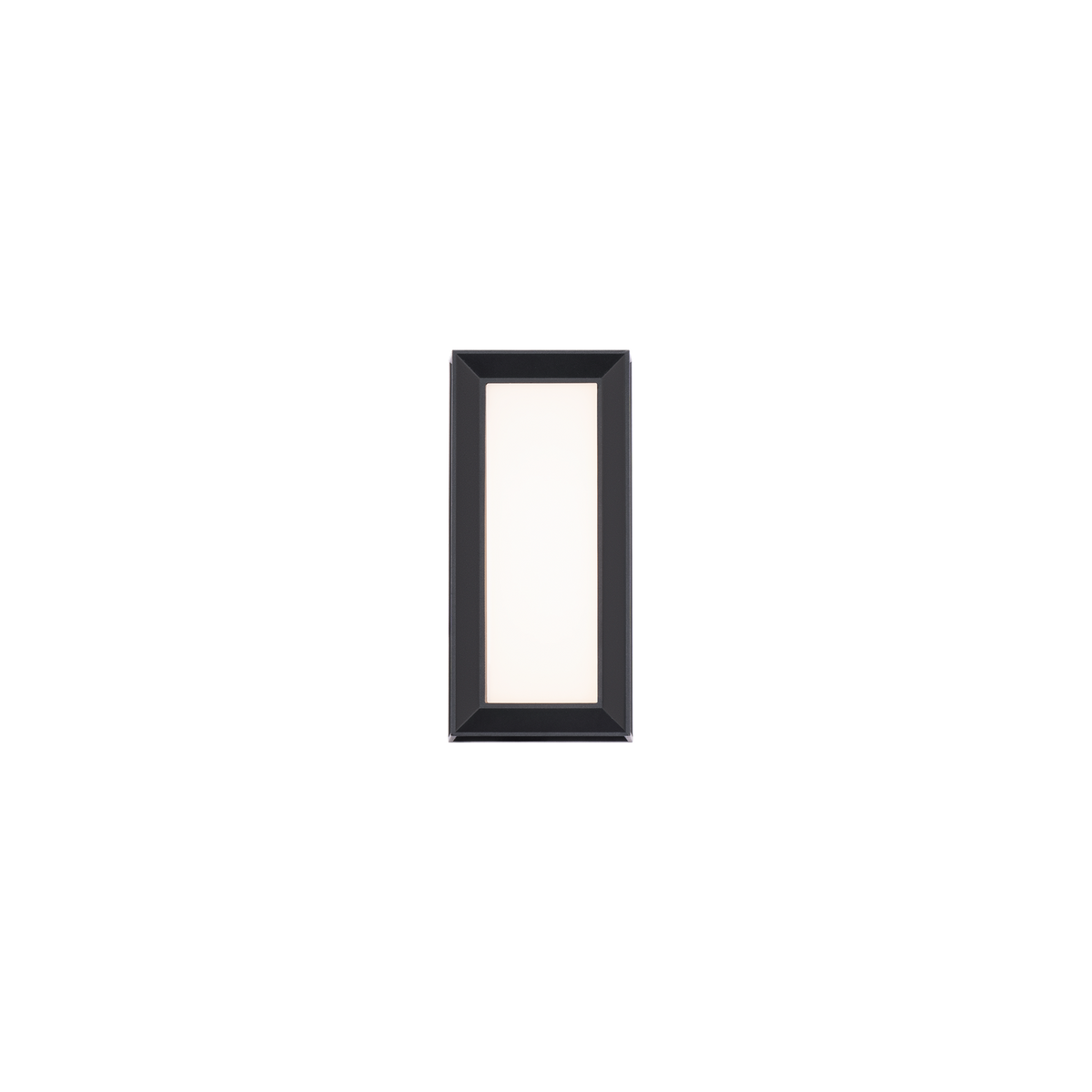Argo Outdoor Wall Sconce 10in
